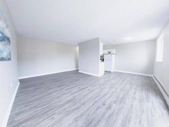 Courtyard Apartments - ALL INCLUSIVE - Photo 1