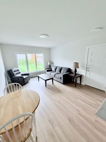 Brand New walkout in Black Mountain - Photo 4