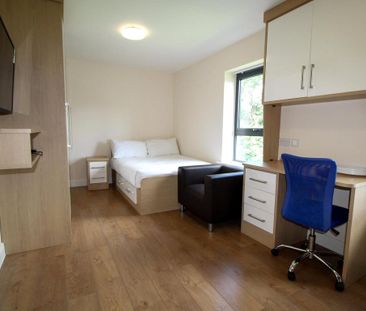 Studio to rent - Photo 5