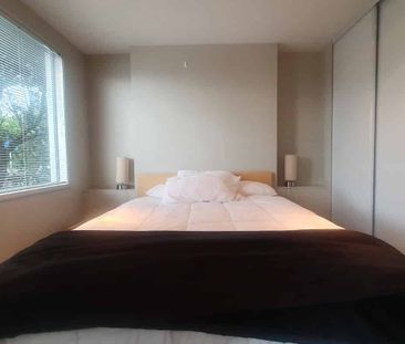 Comfortable Takapuna Apartment - Photo 3