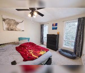 Ormsby Place 3 Bed 1.5 Bath Townhome For Rent - Photo 6