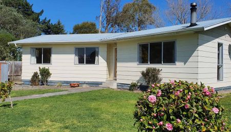 RIVER ROAD, MASTERTON 3 BEDROOMS $530 P/W - Photo 5
