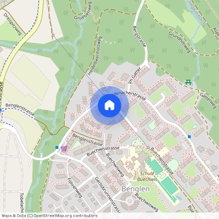 Bodenacherstrasse 8, 8121, Benglen