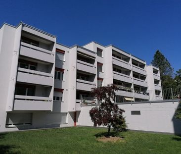 Modern single apartment near city center! - Photo 1