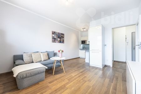 Pronájem bytu 1+kk (30 m²) s lodžií v Přezleticích - Photo 5