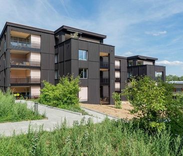 Mitten im Baumgarten - im herrlich grünen Umfeld - Photo 5