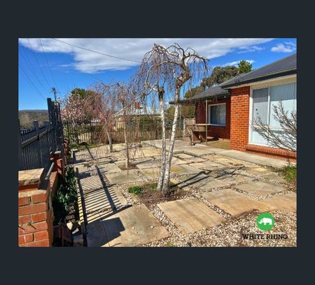 115 Collett Street, Queanbeyan, NSW 2620 - Photo 3