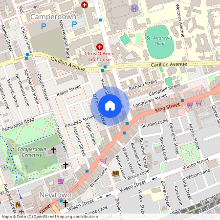 8 Longdown Street, Newtown, NSW 2042