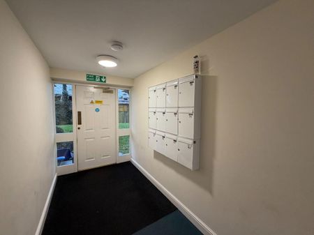 Palatine Street, Denton, Manchester, M34 3JJ - Photo 4