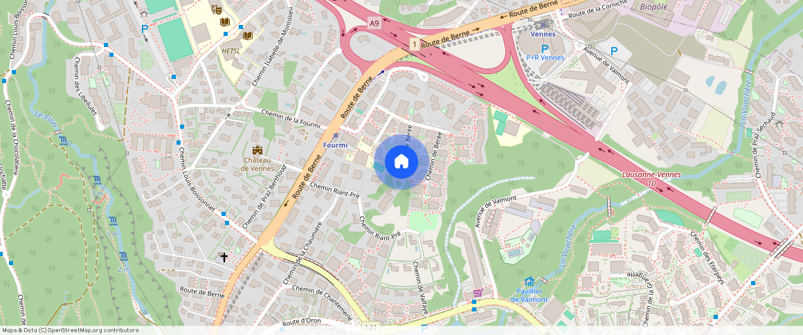 Chemin de Bérée ** A, 1010, Lausanne