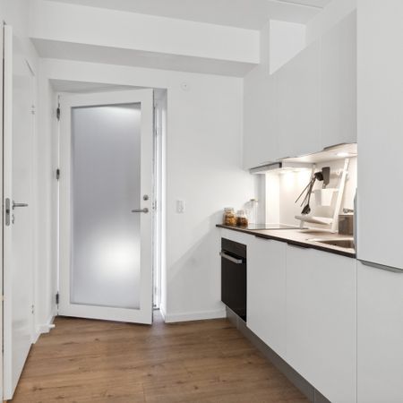 Vilhelm Ehlerts Alle 15, 2. 3, 8800, Viborg - Foto 3