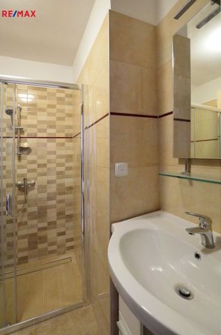 Pronájem bytu atypický v osobním vlastnictví 166 m², České Budějovice - Photo 3