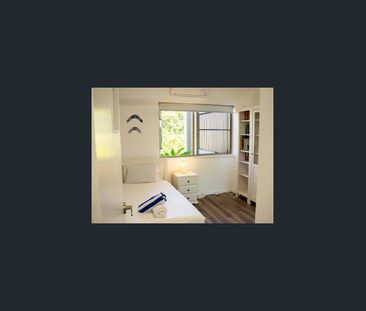 Fully Furnished Luxury Living in Clifton Beach - walk to the beach! - Photo 5