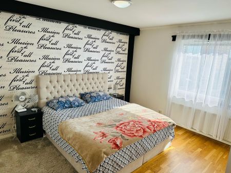 saimagatan, Kista - Foto 2