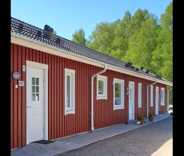 OBS: Kallhyra. - Photo 1