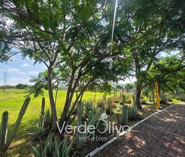Renta casa en Cumbres de Juriquilla. 3 Rec c/baño. Priv con Alberca... - Photo 6
