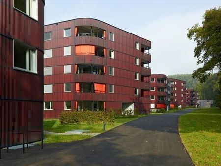 For nature lovers and city dwellers *NO DEPOSIT RENT* - Photo 4