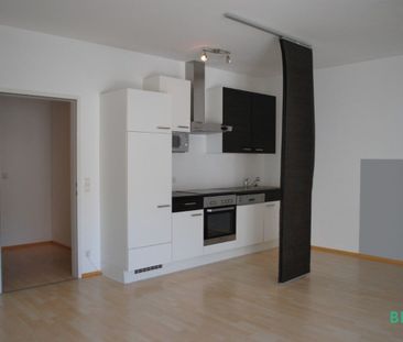 Single Paradies – Erholung im Helenental! - Photo 2