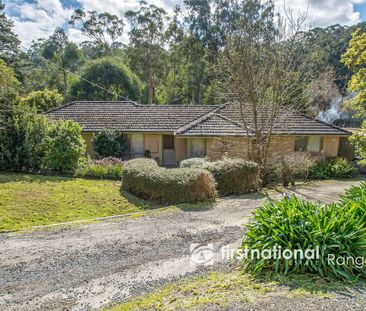 FAMILY FRIENDLY HOME OPPOSITE BELGRAVE LAKE PARK - Photo 4