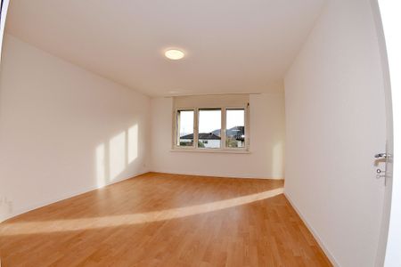 A dream comes true... - Photo 5