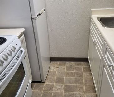 Brookhurst – Bachelor - Photo 3