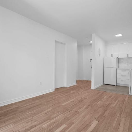 1 CH - 1 SDB - Montréal - $1,075 /mo - Photo 1