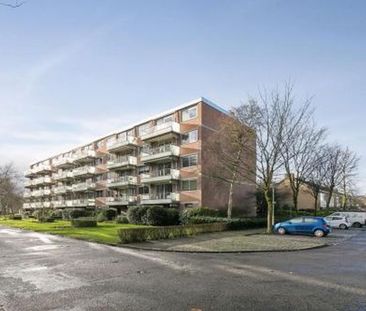 Twikkelstraat 4834 LL Breda - Foto 1