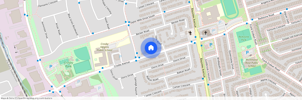 387 Crosby Avenue Unit# Bachlor-Basement, Richmond Hill