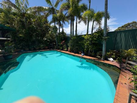 Thornlands - Photo 4