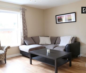 Charming room to rent in Downtown Dublin - Photo 2