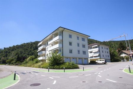 The ideal apartment in Trimbach - Photo 3