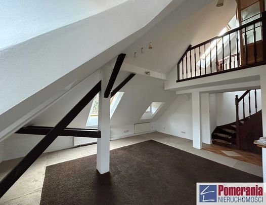 Jasne Błonia, ul. Monte Cassino - Zdjęcie 1