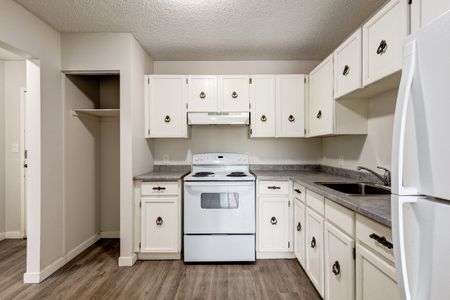Renovated Suite - 1 Bedroom - Photo 4