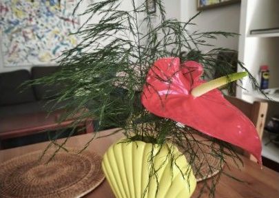 santa_cruz_de_tenerife, Canary Islands 38400