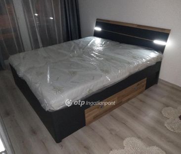 Belváros, Hajdú-Bihar, 4024, Debrecen - Photo 3