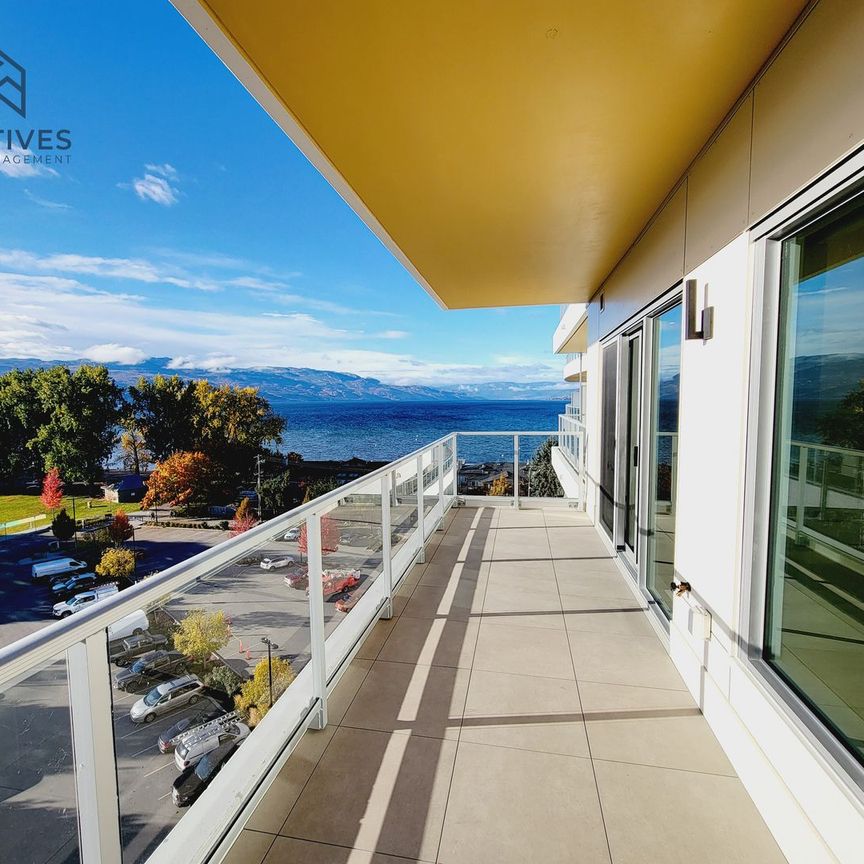 NEW!! 1 bed plus den/1 bath at Movala - Photo 1