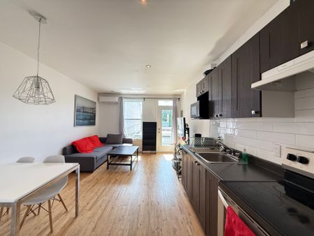 4542 Av. Papineau, Montréal (Le Plateau-Mont-Royal), QC H2H - Photo 2