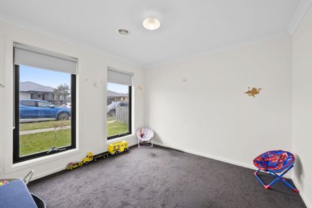 16 Dahlia Street, Bonshaw - Photo 4