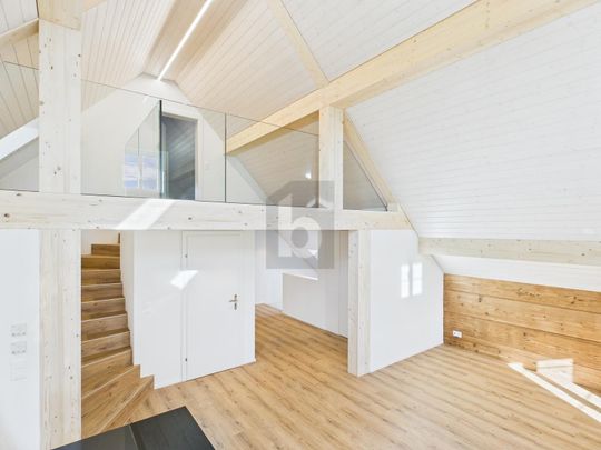 FIRST-USE WITH 5 M ROOM HEIGHT - Photo 1