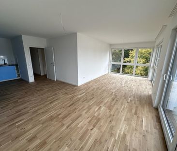 In toller Lage: Wunderschöne, moderne und lichtdurchflutete 3 Zimmer-Wohnung mit Balkon, Dahlienweg 1a, Burgsolms - Foto 5