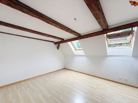 LUMINOUS 3 ½ ROOMS - With a seal in the attic! - Foto 4