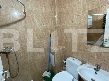 1 camera, Pet Friendly, semidecomandat, 25 mp, zona Iulius Mall - Fotografie 5