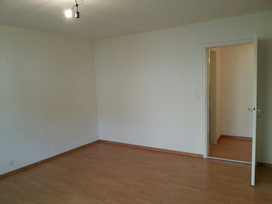 Apartment is looking for a single person - Photo 1