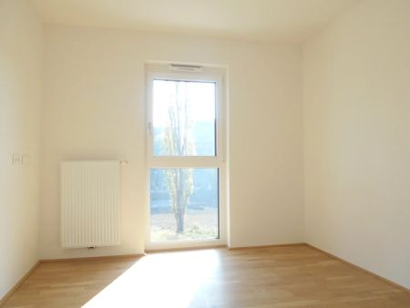 Q5 am PARK sonnige 3ZI am Reininghauspark, außergewöhnlich 3 S/W Balkone - Photo 5