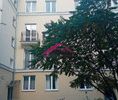 Warszawa M., Warszawa, Mokotów, Dolny Mokotów, Sielecka - Photo 1