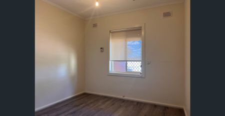 Give me a home.. - Photo 4