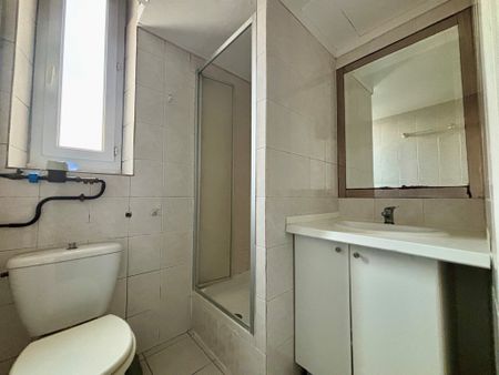 Location Appartement 1 pièce 29m² GRENOBLE 38100 - Photo 4