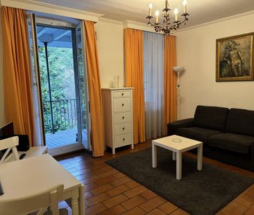 Beautiful furnished 2-room apartment with balcony in Carouge (Geneva) - Photo 1