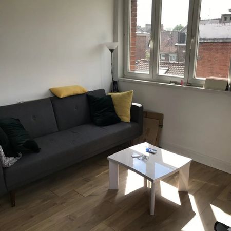 Appartement à louer F2 à Lille - Photo 3