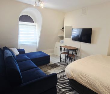 Studio Flat, Ebury Bridge Road, SW1W - Photo 5